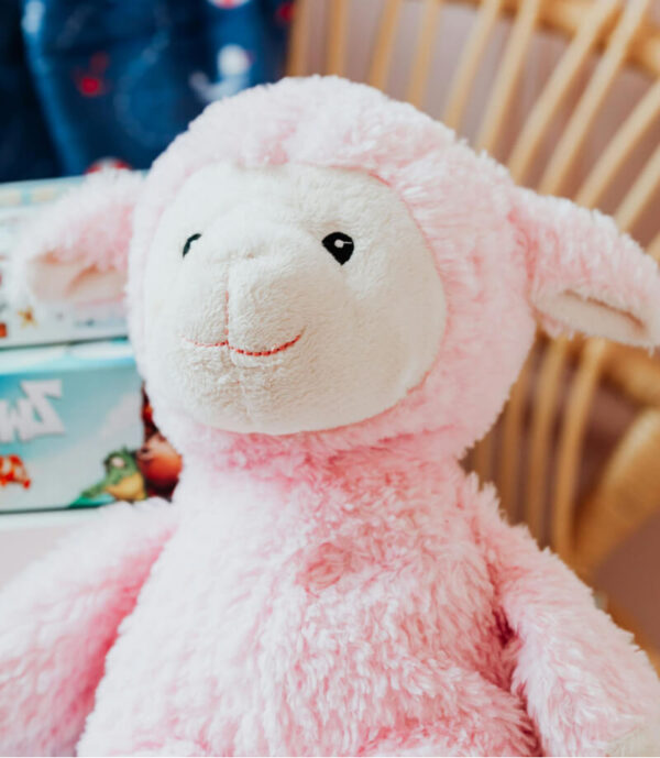 Pink Teddy Bear - Image 3